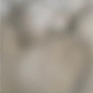 Meet your Posher, Brodie